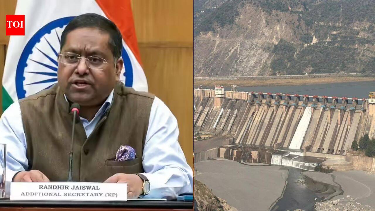 ‘Pakistan must stop backing terror’: India says Indus Waters Treaty ‘in abeyance’; conveys views on Teesta to Bangladesh | India News