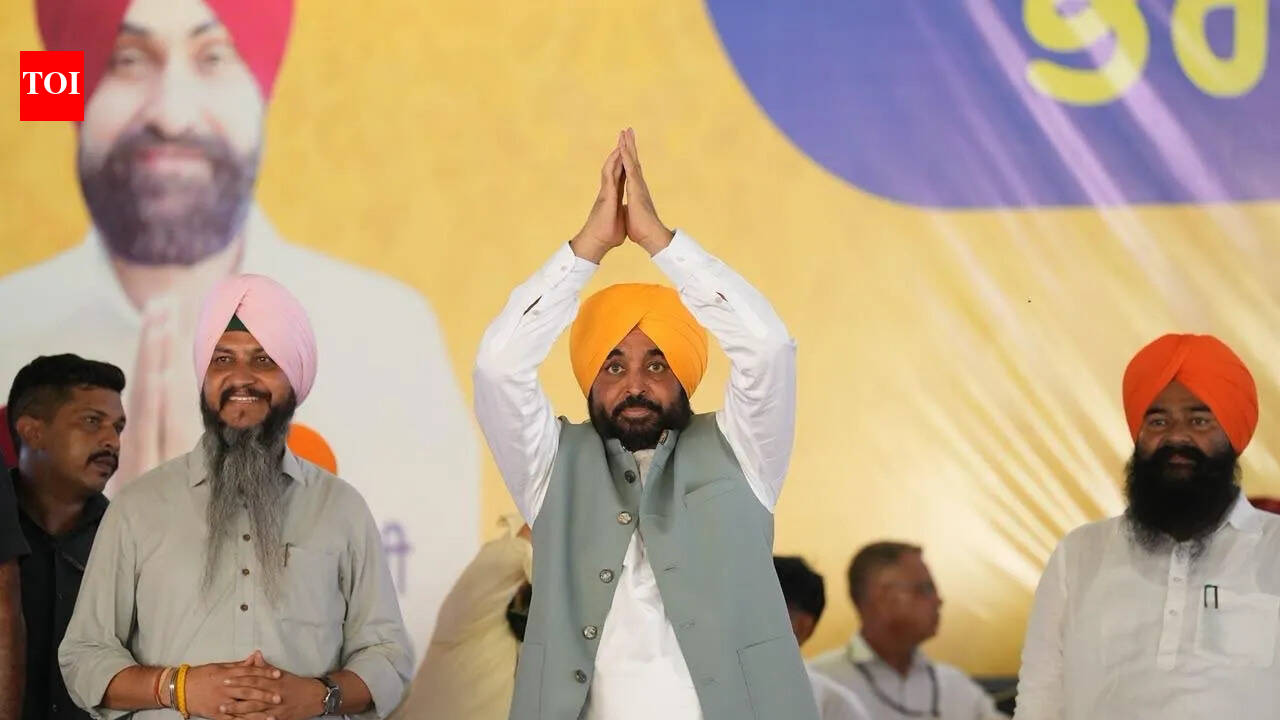 Punjab Congress divided as every leader wants to be CM: Mann | India News