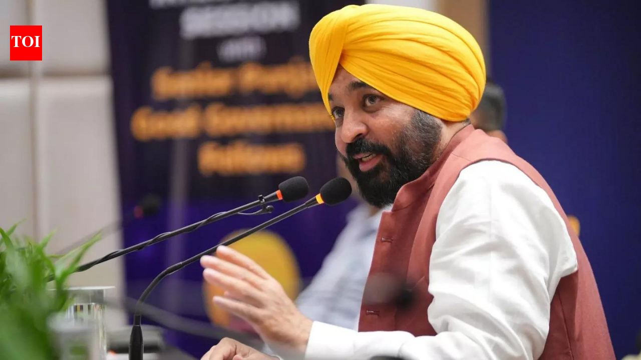 Punjab’s ‘Business Class’ programme helps over 20k student-led ventures garner Rs 90 cr revenue | India News