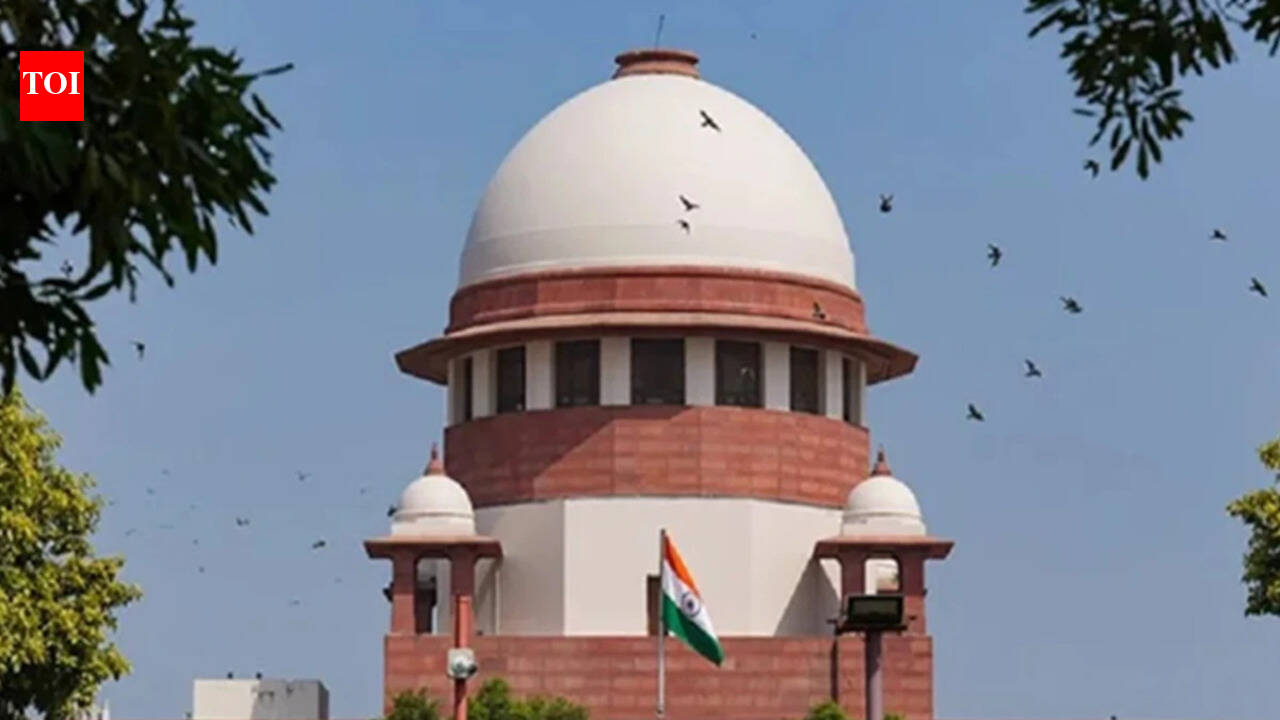 TN in SC for quota benefits to Muslim convert | India News