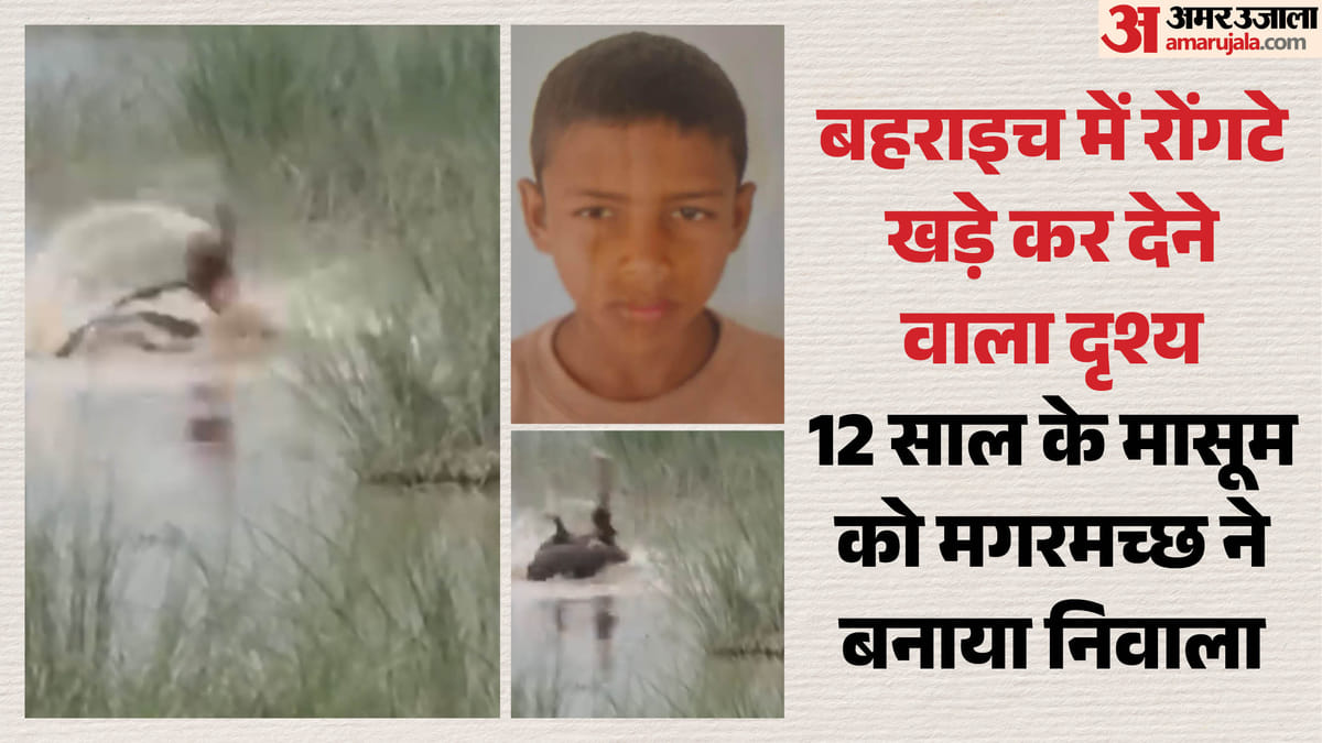 Up News:12 साल के बालक को मगरमच्छ जिंदा खा गया, जबड़े में दबाया, उछाला और लील गया; वीडियो देख कांप गए लोग – 12-year-old Boy Was Eaten Alive By Crocodile In Bahraich People Were Left Trembling After Watching Video