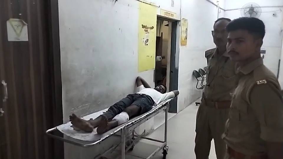 Up News:गोवंश काटने की सूचना पर पुलिस का एक्शन, मुठभेड़ में गोली लगने से एक आरोपी घायल; तीन धरे गए – Police Action Following Reports Of Cattle Slaughter In Amethi One Accused Injured In Encounter Three Arrested