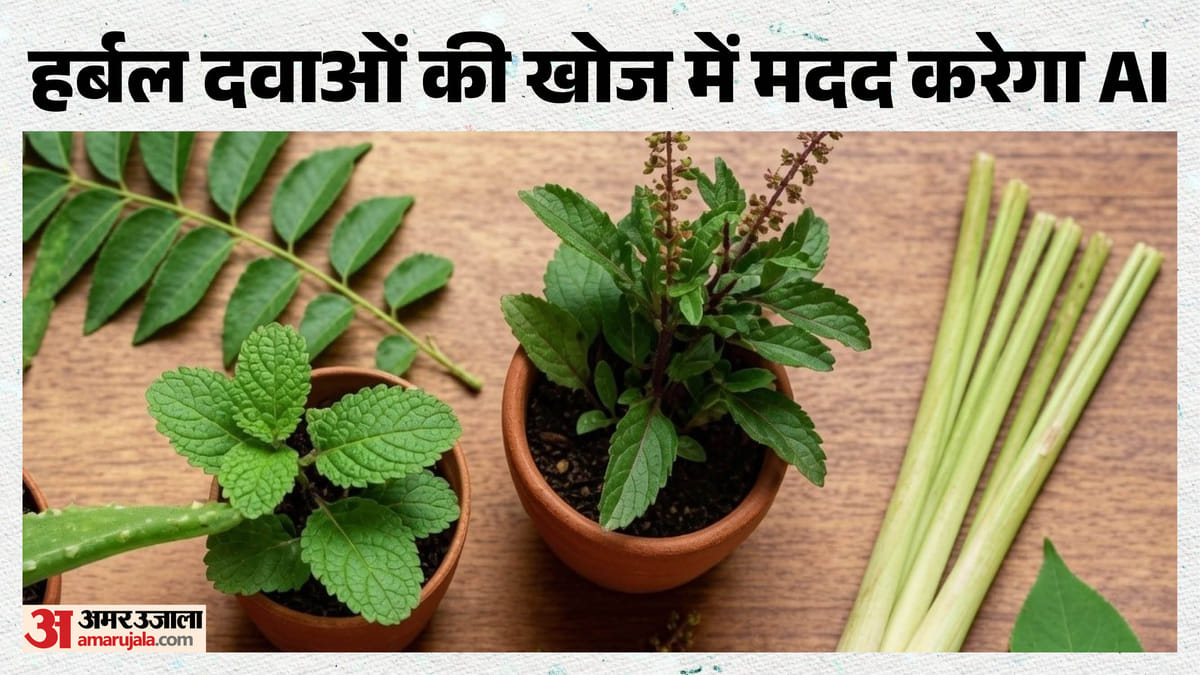 Up:एआई बताएगा… किस पौधे में छिपी है नई और असरदार दवा, हर्बल दवा अनुसंधान को मिलेंगे एआई के पंख – Ai To Reveal Which Plant Holds A New And Effective Medicine; Herbal Drug Research Set To Get An Ai Boost.