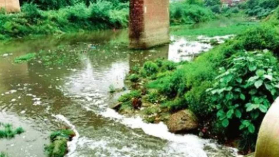 Up:’सीवर, फैक्टरी का कचरा और अतिक्रमण’, ऐसे दम तोड़ रही सरायन नदी; ग्राउंड रिपोर्ट में चौंकाने वाला खुलासा – Sarayan River Is Dying Due To Sewage, Factory Waste And Encroachment