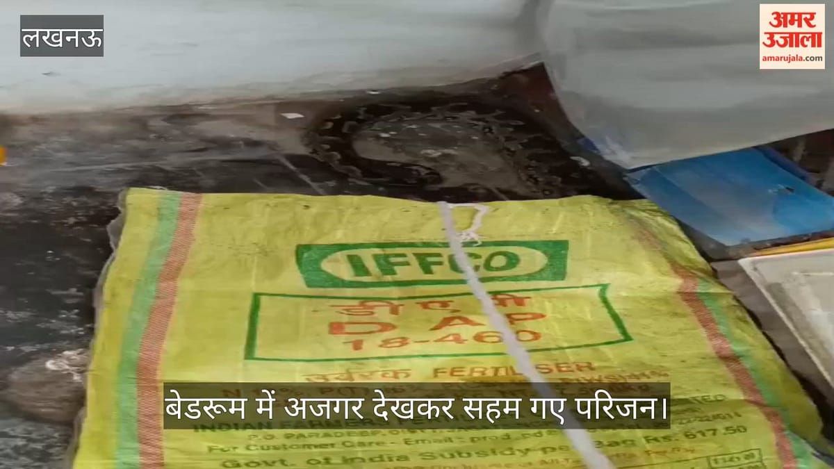 VIDEO: आधी रात बेडरूम में अजगर देखकर सहम गए परिजन, खुद की किया रेस्क्यू, नहीं मिली कोई मदद