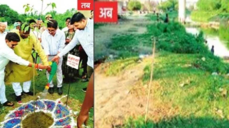 ‘एक जिला-एक नदी’ योजना का सच:जहां मंत्री ने लगाया था पौधा, वहां अब निशान तक नहीं; ग्राउंड रिपोर्ट में खुलासा – No Trace Remains Where Minister Planted Sapling In Sitapur Ground Report Reveals Truth