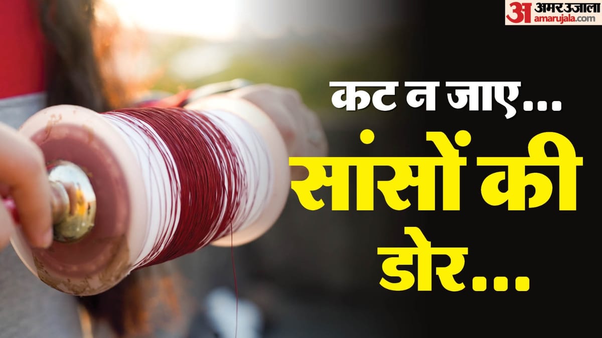 यूपी:प्रदेश में पूरी तरह से चीनी मांझे को बैन करने के लिए हाईकोर्ट में सुनवाई सोमवार को, केंद्र भी देगा जवाब – Up: Hearing In High Court On Monday To Completely Ban Chinese Thread In The State, Centre Will Also Have To Re