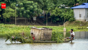 ‘People’s safety our highest priority’: Assam govt requests Army, Air Force to remain on standby for flood evacuations | India News