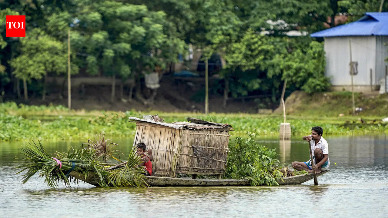 ‘People’s safety our highest priority’: Assam govt requests Army, Air Force to remain on standby for flood evacuations | India News