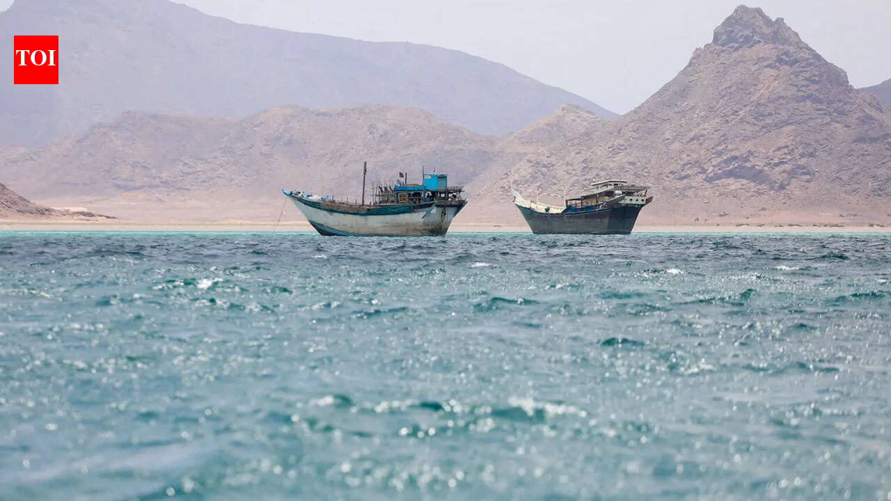 25 India-bound ships in Hormuz; government set to evacuate 13 soon | India News