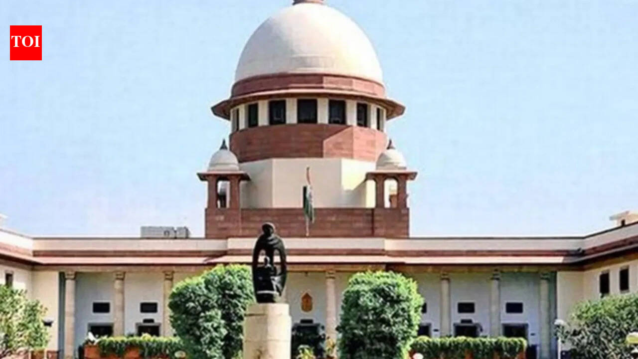 A decade on, SC to hear athlete’s promotion plea junked by HC in 2016