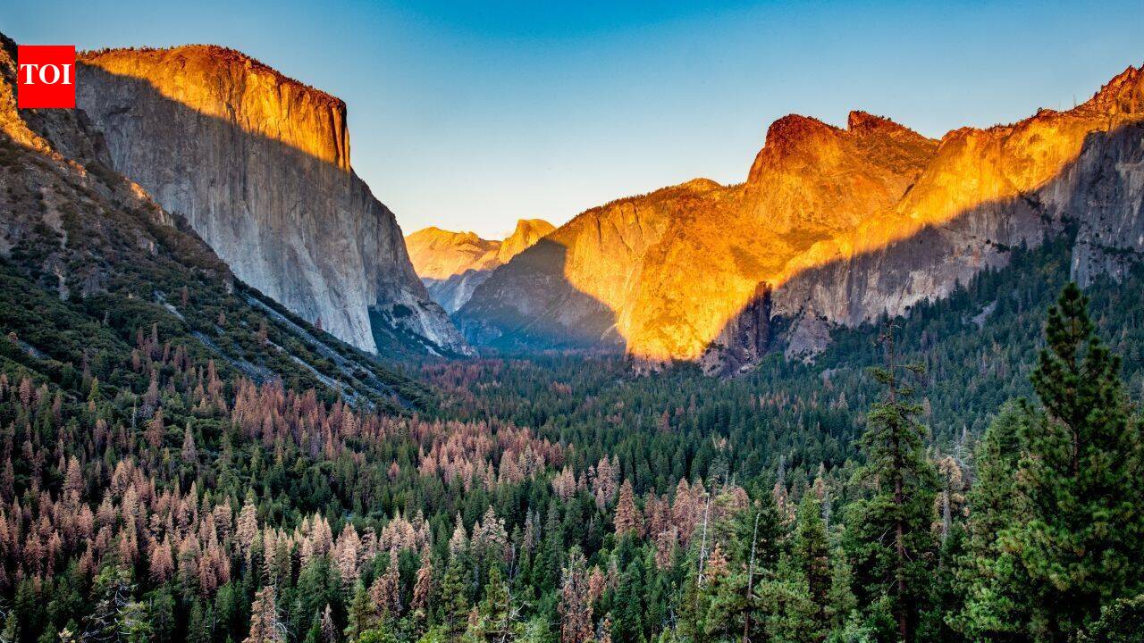 A hidden wonder in Yosemite was disappearing for more than 100 years, in 2023, a massive restoration began filling a 3.5-mile erosion gully with 162,000 cubic yards of soil and woodchips, restoring 94 acres of lost wetlands