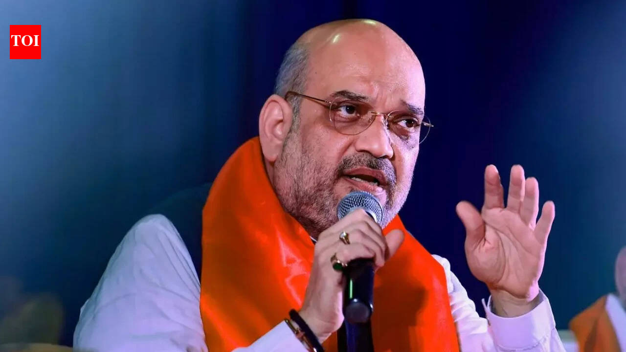 Amit Shah to chair meeting with CMs, top officials of southern states to resolve inter-state issues | India News