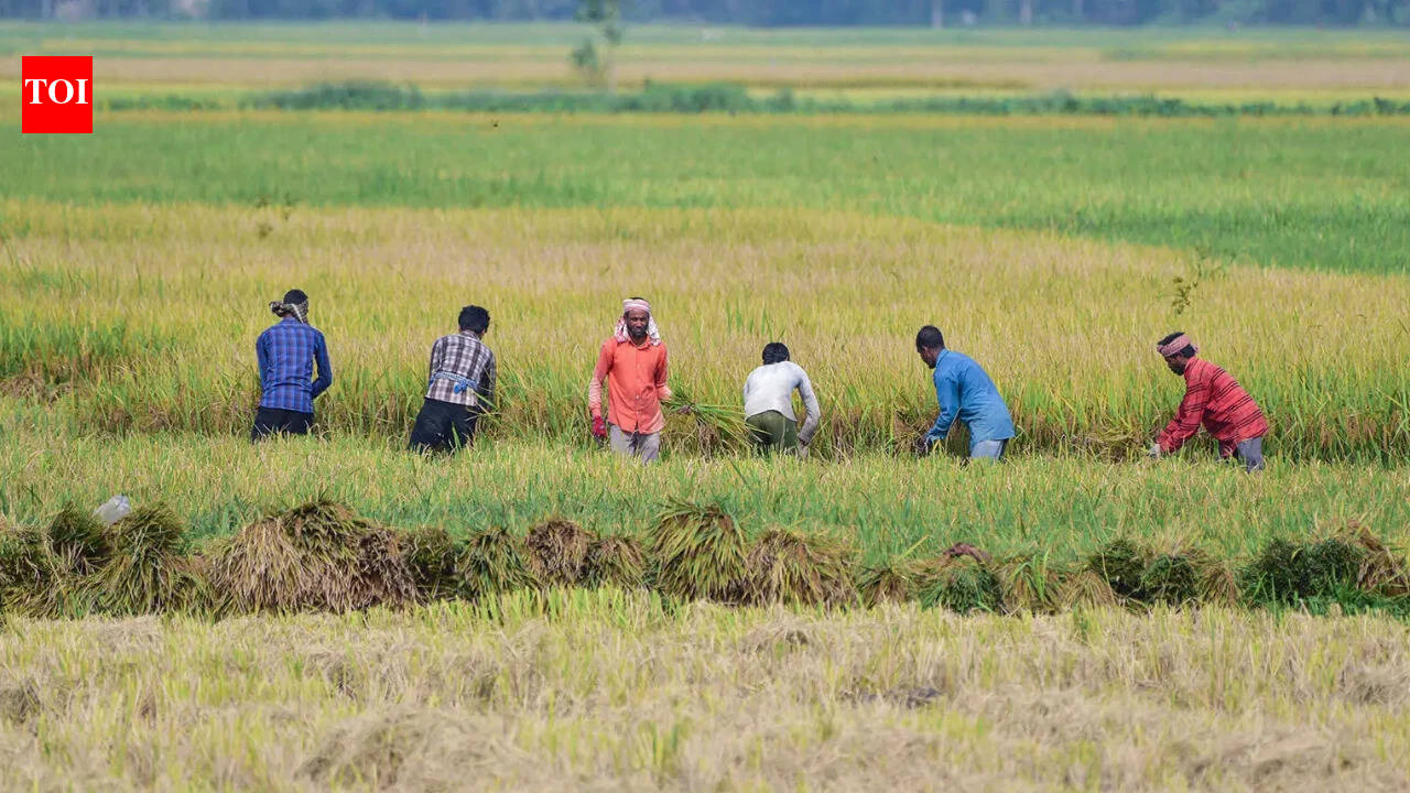 August rainfall fails to reduce India’s monsoon deficit | India News