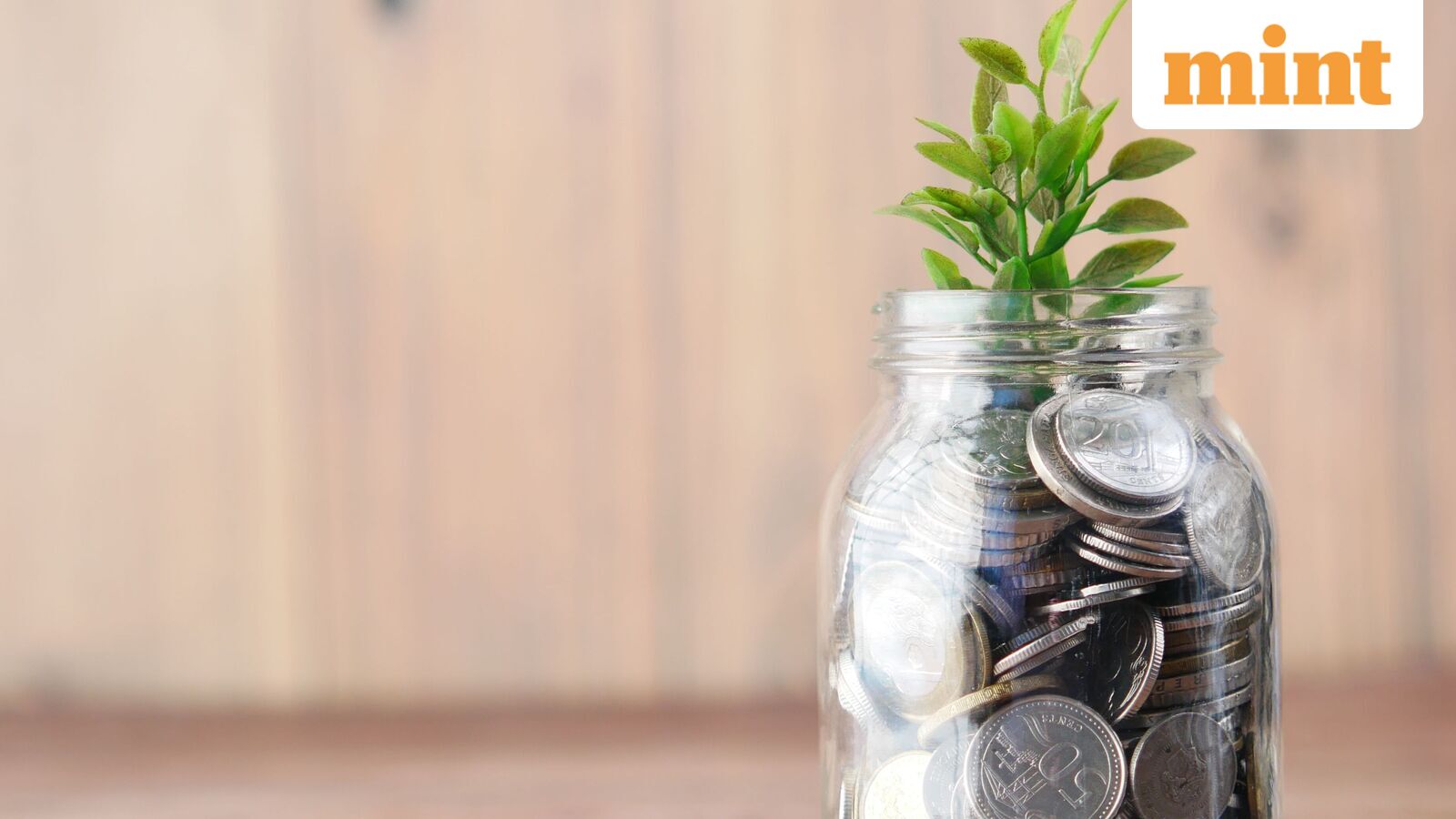 Bandhan Small Cap Fund July portfolio: 15 stocks added, 9 exited; HDFC Bank, AWL Agri see higher holdings