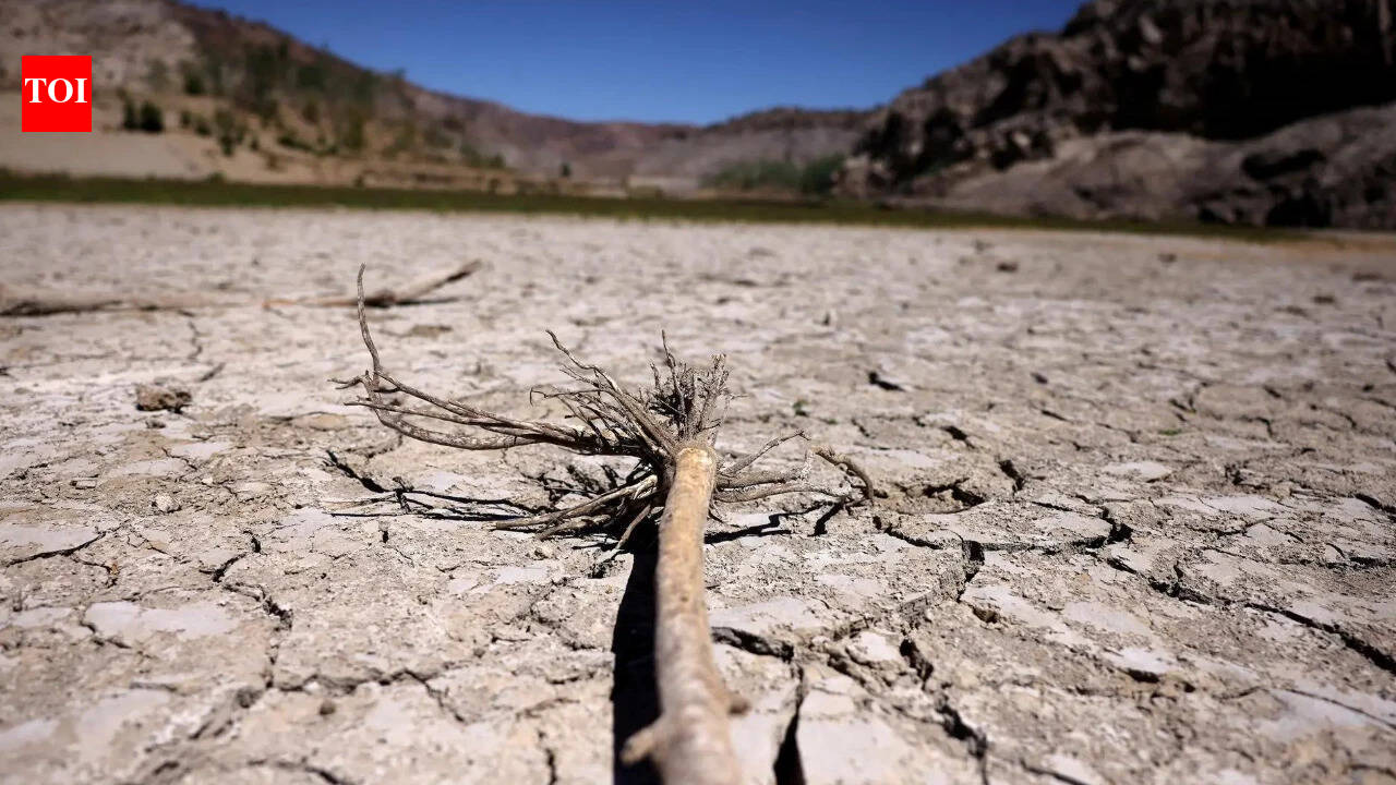 COP17: New global architecture for drought resilience launched at UNCCD meet | India News