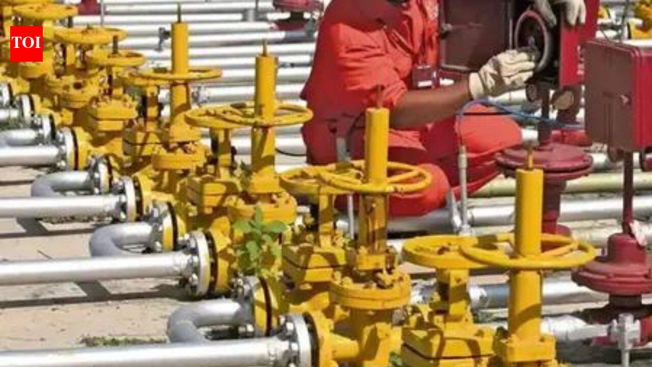 Centre asks states, union territories to expand piped gas network | India News