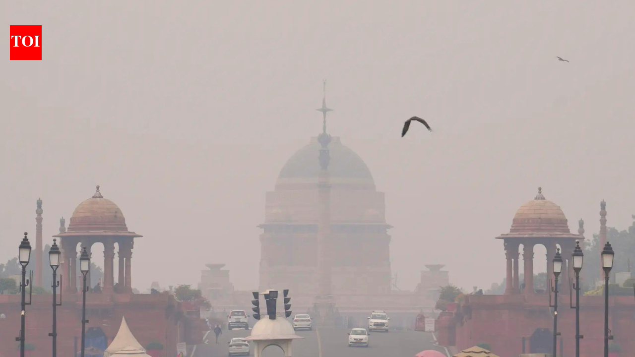 Delhi Government Construction Ban: Delhi government orders construction ban for 42 days to tackle winter air pollution | India News