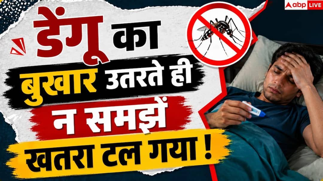 Dengue Fever: डेंगू का बुखार उतर गया तो न हों खुश! अगले 24-48 घंटे हैं अहम