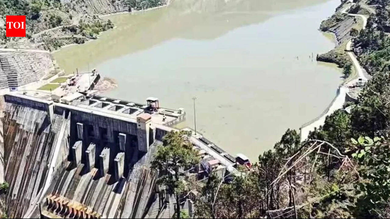 ‘Dismantle terror infrastructure first’: India’s US envoy hits out at Pakistan over Indus Waters Treaty | India News
