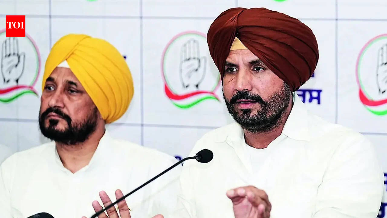 Dissidents push for Hindu Pradesh Congress Committee chief to end Punjab crisis | India News