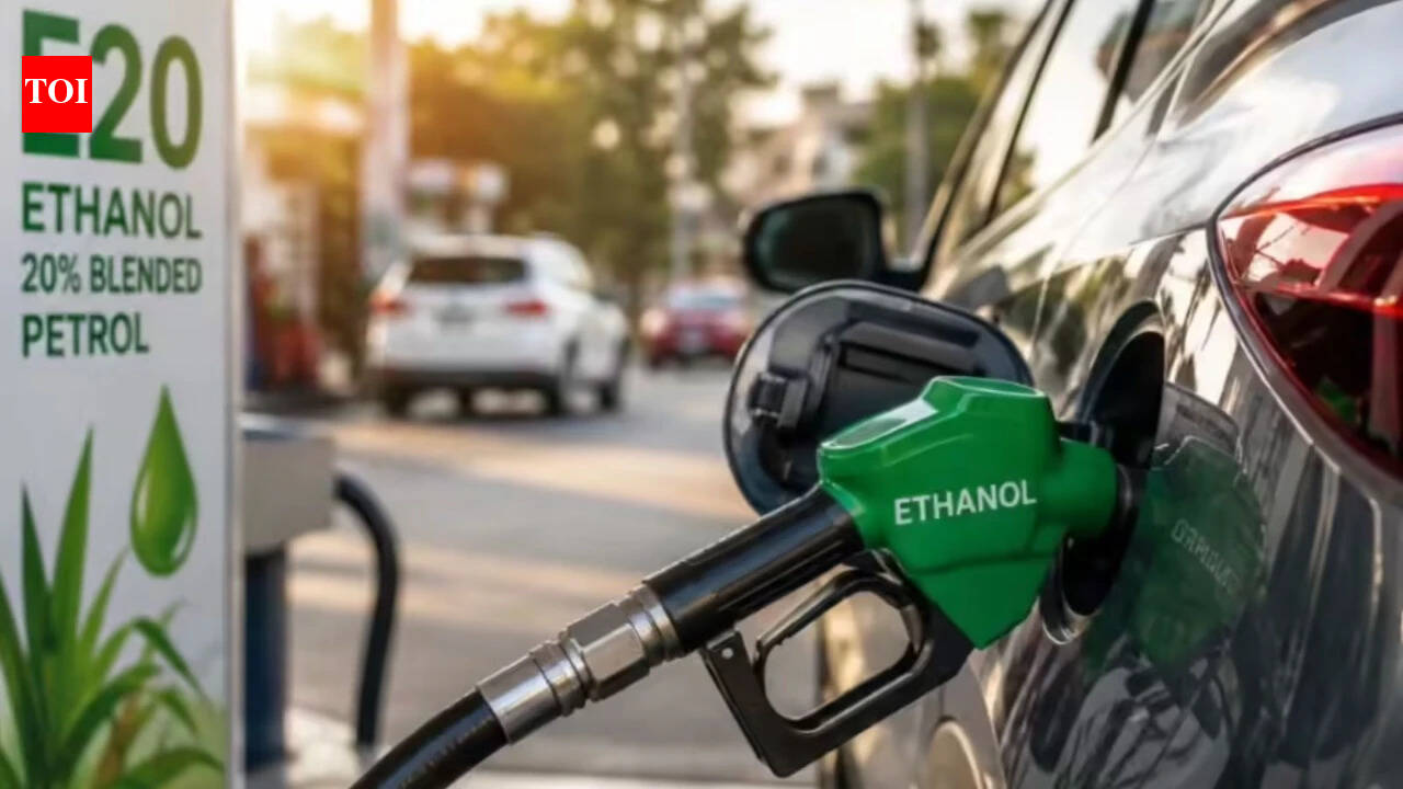 Government planning to bring E10 back? Clamour grows after top bureaucrat’s remark | India News