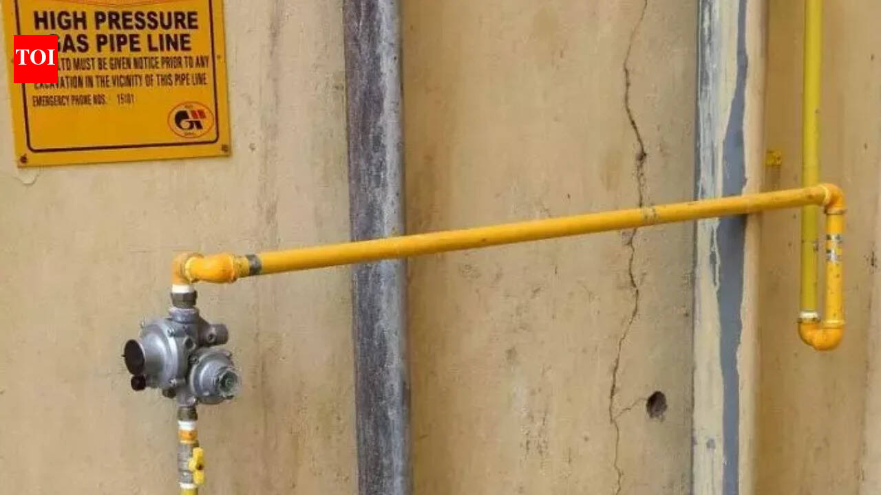 Govt announces scheme to incentivise gas companies to expand PNG network | India News