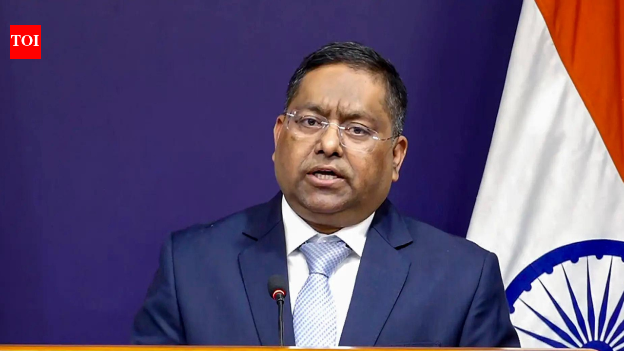 Govt condemns vandalism of Indian embassy in Slovenia | India News