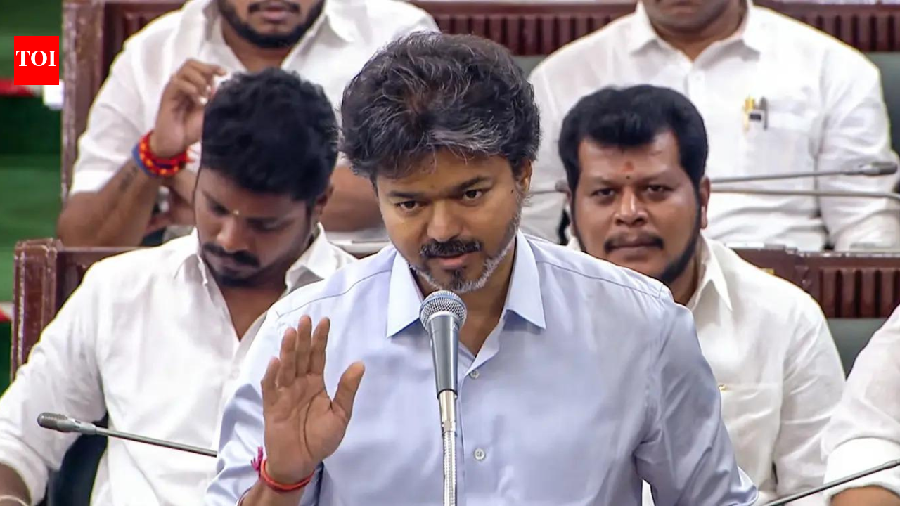 ‘I apologise on his behalf’: Tamil Nadu CM Vijay after minister’s Karunanidhi reference | India News