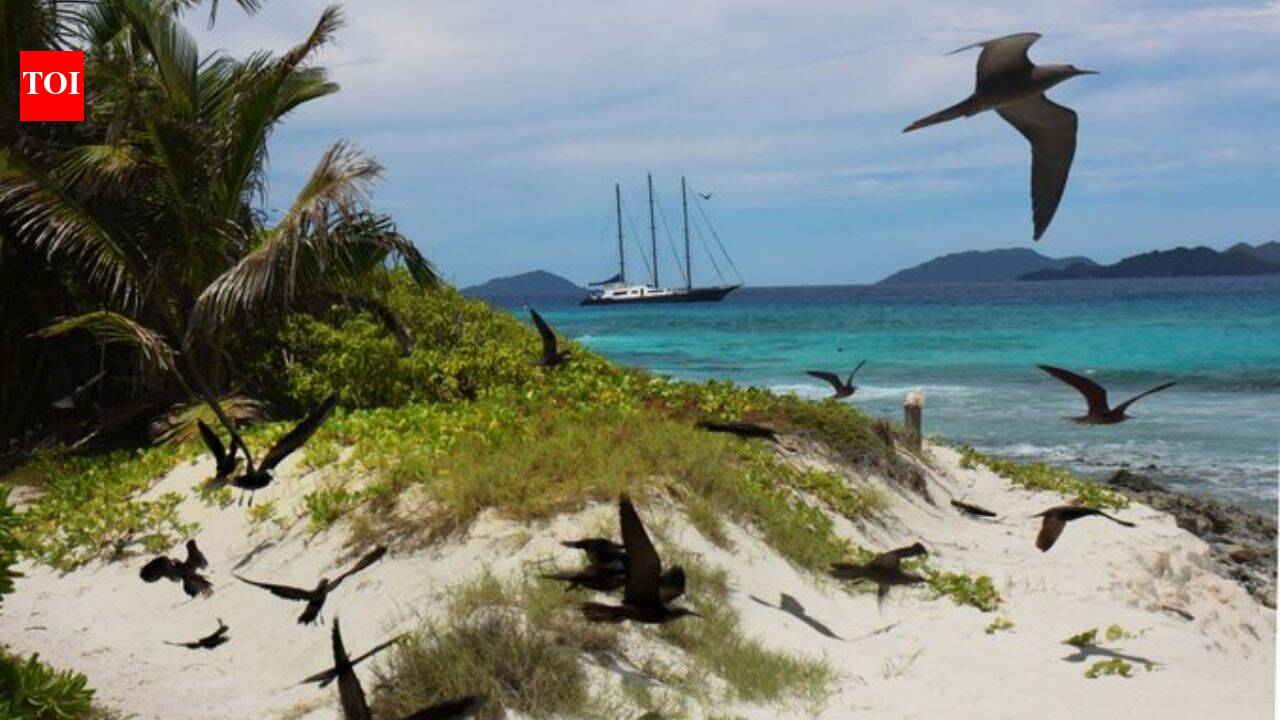 In 1973, Christopher Cadbury funded the £40,000 purchase of a Seychelles island stripped for coconuts and seabird eggs; today over 1 million seabirds breed there each year
