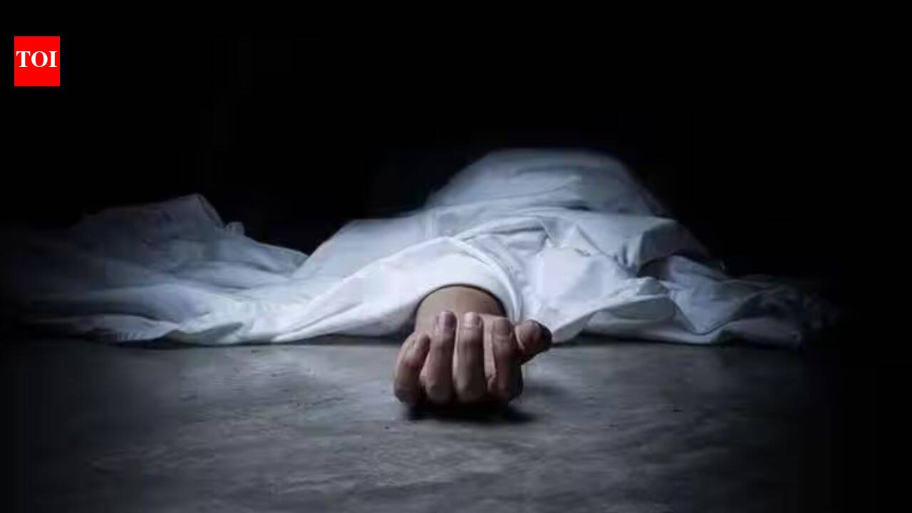 Indian national dies in Israel; suspect arrested, Embassy says probe under way | India News