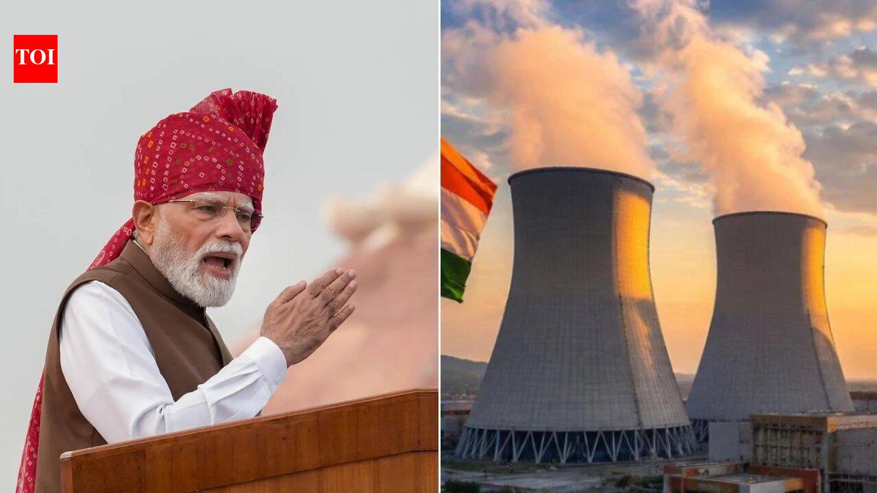 Inside PM Modi’s energy self-reliance plan