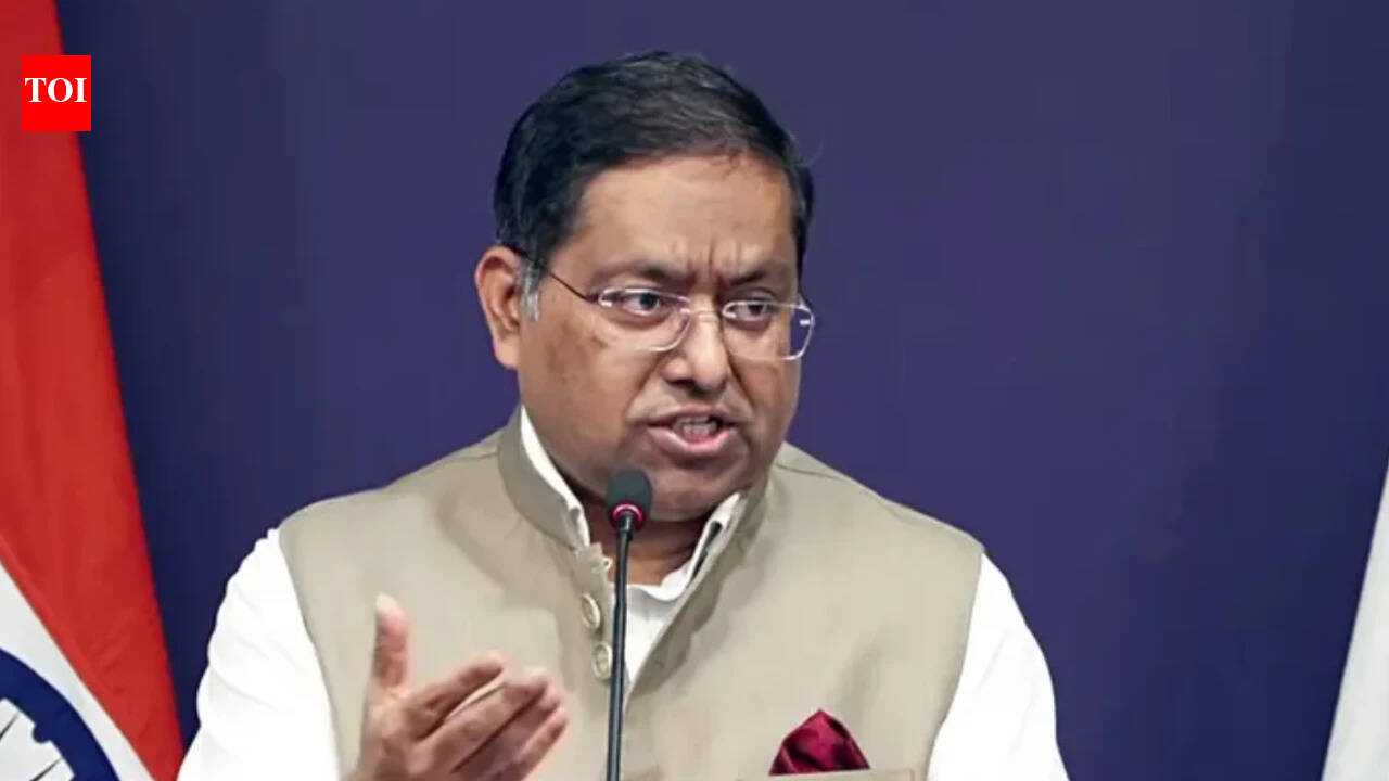 ‘Internal matter for us’: MEA dismisses US lawmaker’s criticism of FCRA Bill | India News