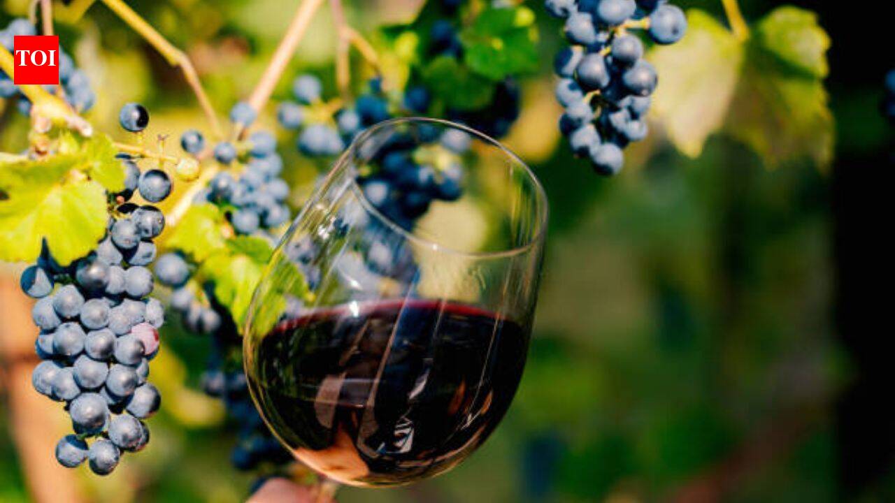 Ireland is becoming an unlikely wine country as temperatures rise; the island now has 42 vineyards, with growers reporting bumper 2026 crops