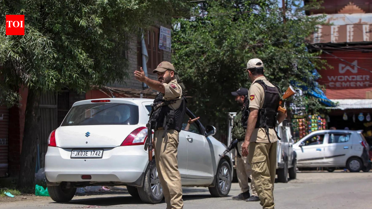 J&K: Days after Kulgam terror attack, man with grenade held in Pulwama | India News