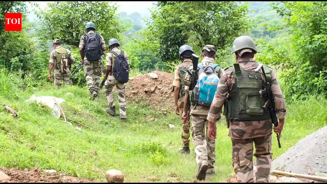 J&K: Security forces search Kathua forests after locals report suspicious movement | India News