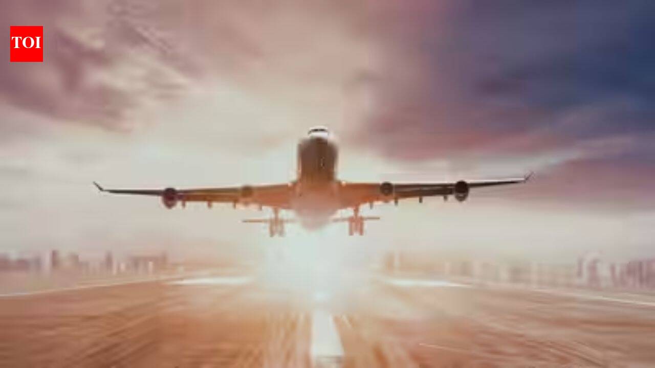 Ladakh gears up for flights from Thoise by December, Kargil later | India News
