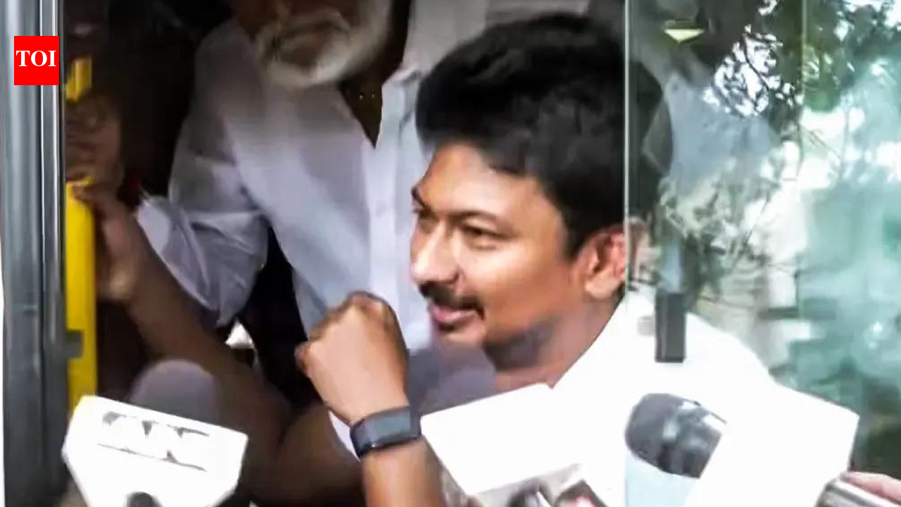Madras HC orders Udhayanidhi Stalin’s release after arrest over ‘double meaning’ remark | India News
