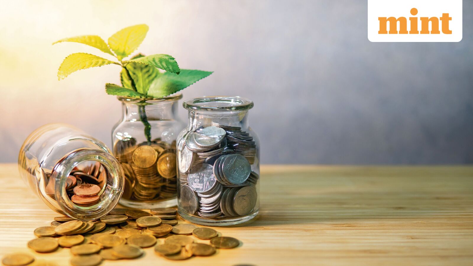 Nomination mandatory for demat accounts, MF folios from Sept 1: What if you don’t want a nominee?