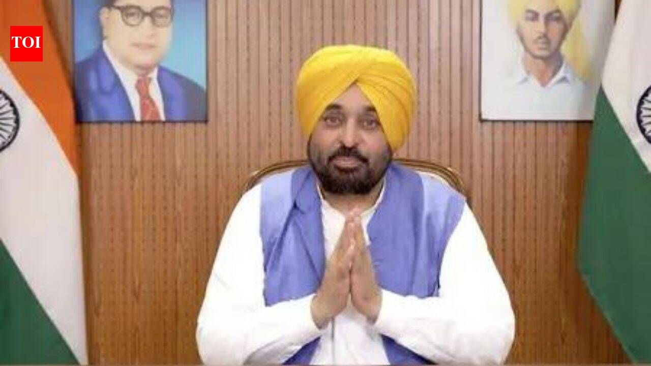Over 76 lakh women registered under Mawan Dheeyan Satkar Yojna: Punjab CM Mann | India News