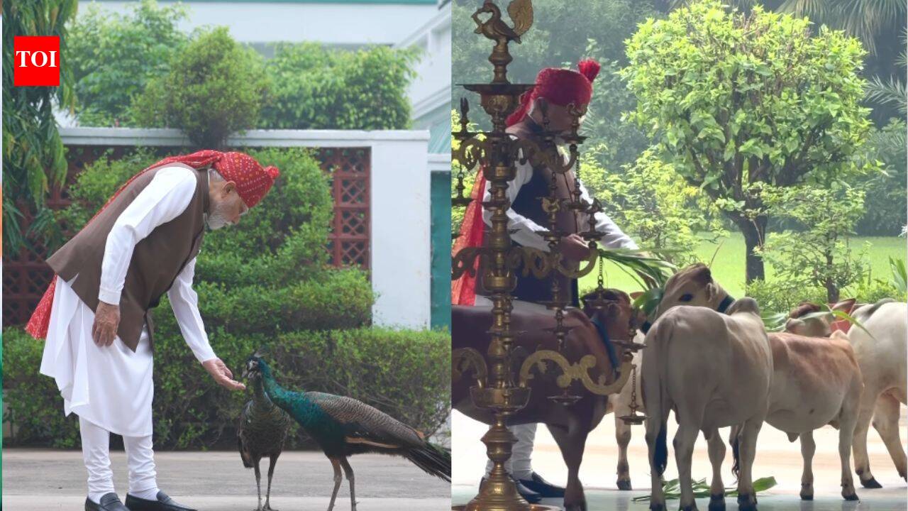 PM Modi’s quiet Independence Day morning with cows, peacocks