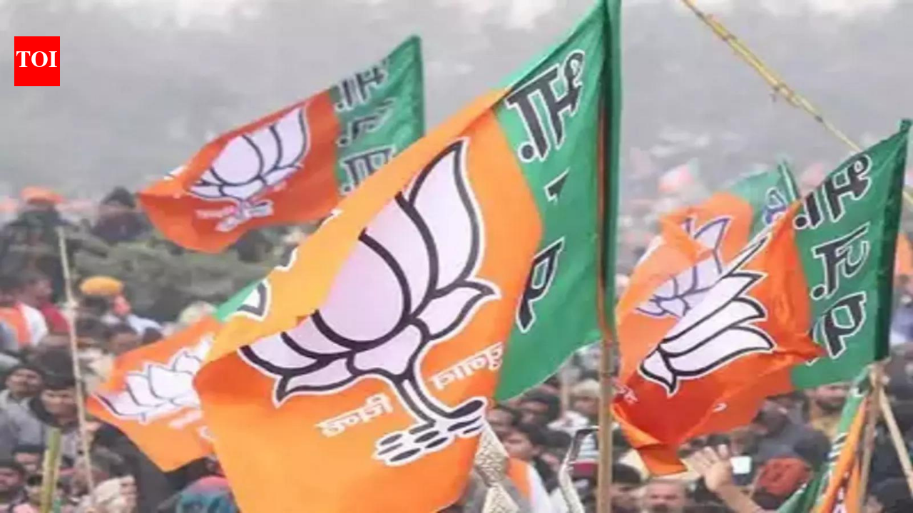 Punjab BJP cracks down on 3 leaders over statements on internal affairs | India News