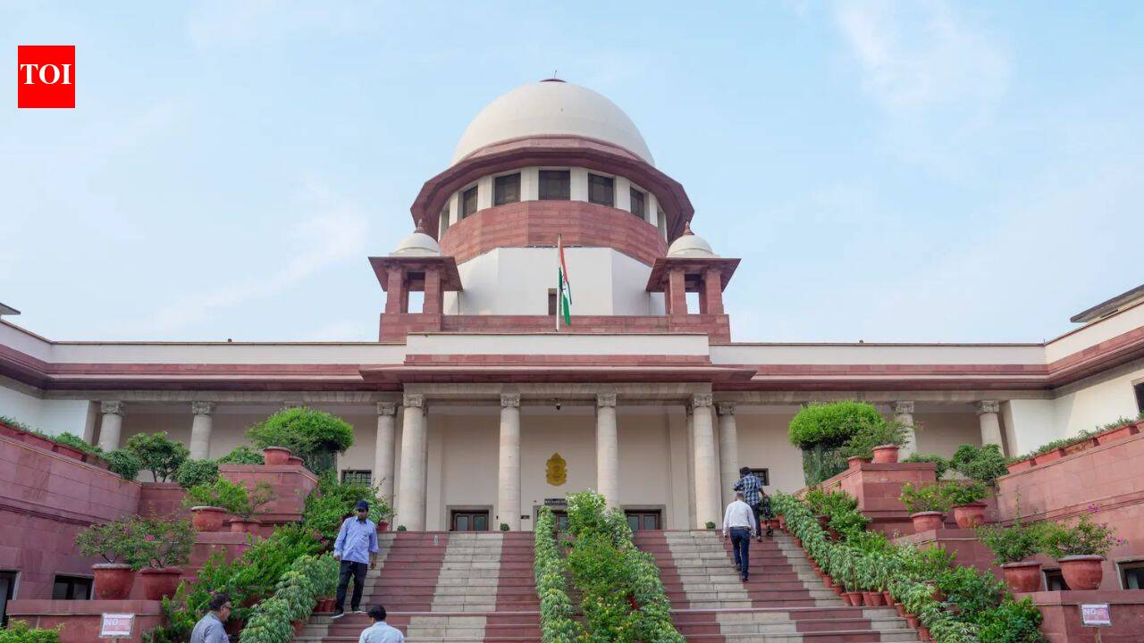 SC concerned by continuance of derogatory witch-hunting practice