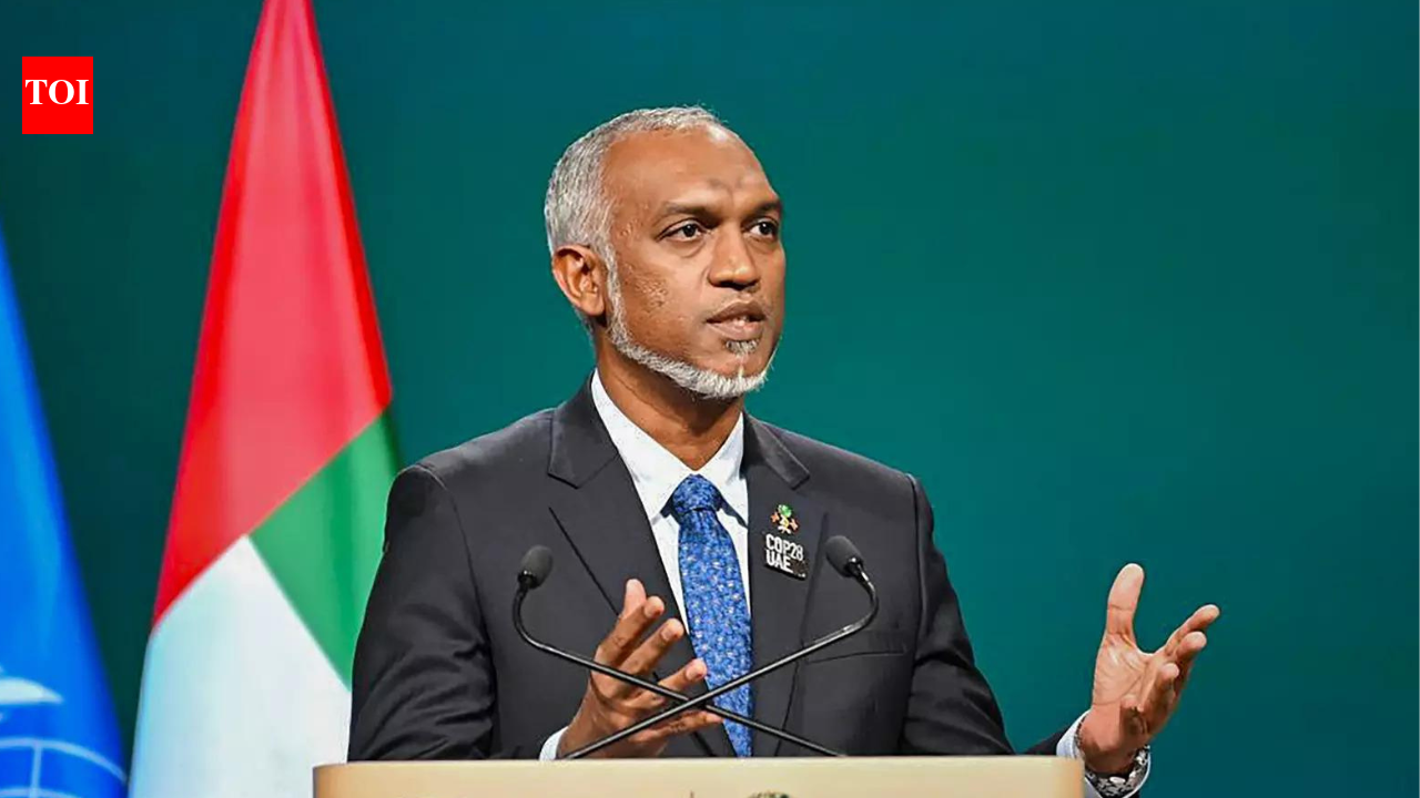 Small island states can serve as labs for innovation and tech: Maldives prez | India News