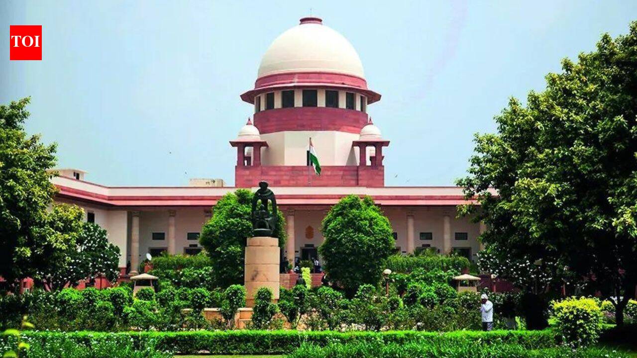 Speedy trial a right of victim too, says Supreme Court | India News