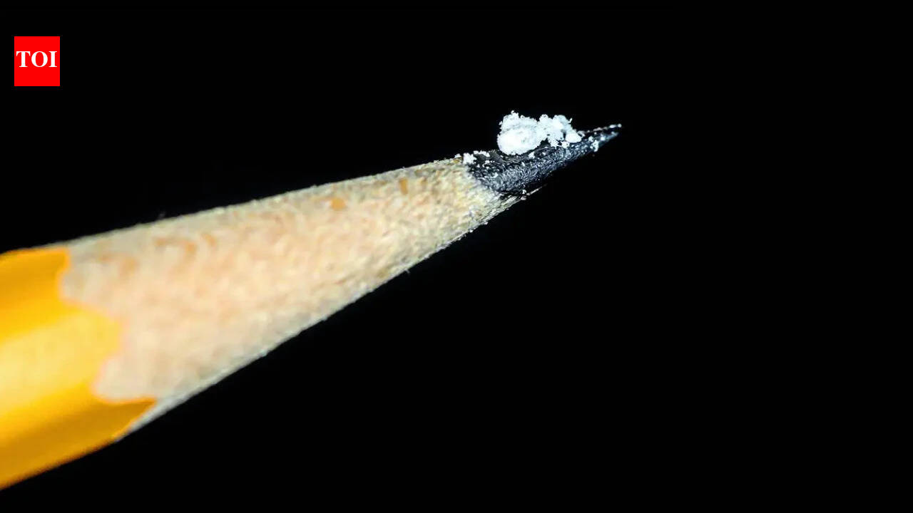 The Surat link to US fentanyl crisis | India News