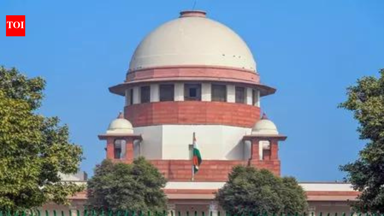 Transgender ID cards to remain valid till pleas against new law decided: Centre to SC | India News