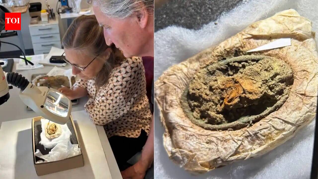 Viking Textile Fragments: Rare textile fragments have survived for around 1,300 years inside a Viking woman’s Danish grave because metallic salts released by two brooches inhibited microbes that would normally destroy the cloth
