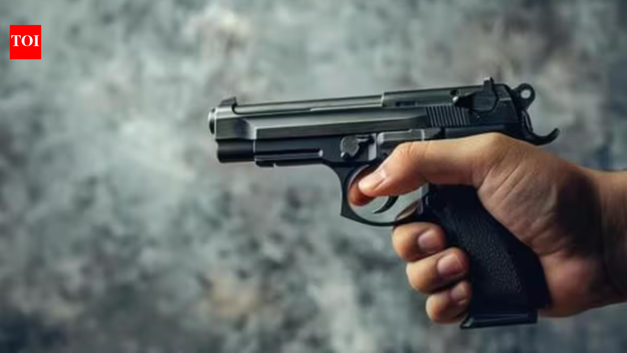 Village defence guard kills another in Udhampur; 1 critical