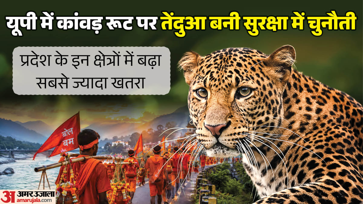यूपी:कांवड़ रूट पर तेंदुओं से सुरक्षा देने में वन कर्मियों को छूट रहे पसीने, इन जिलों में 500 तक हो गई संख्या – Up: Forest Workers Are Struggling To Protect Against Leopards On The Kanwar Route, With The Number Reaching 50